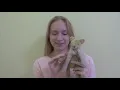 DIY | Мишка Тедди + важное объявление!