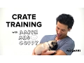 PetSmart Puppy Training How to Crate Train a Puppy