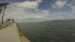 Check Here for Dog Friendly Renting in St Augustine Holly Morse