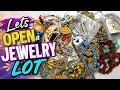 New Bag Opening Goodwill Mhystery Jewelry Bag