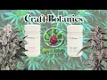 Slurricane Mimosa T28 Georgia Pie T27 by Craft Botanics Medical Cannabis Review