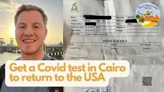 Where to get a Covid-19 rapid antigen or PCR test in Cairo, Egypt, to return to the US, for only $30