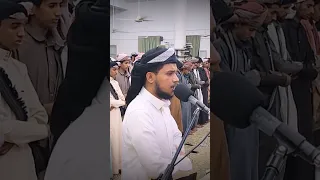 أحمد المزجاجي القرأن الكريم 