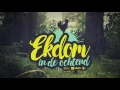 The Paper Kites - 'Electric Indigo' live @ Ekdom in de Ochtend