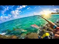 First Time Fishing VENICE JETTY Non-Stop ACTION