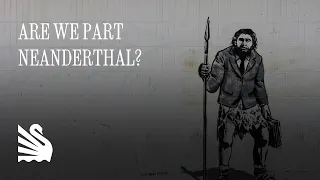 Neanderthal Genome Project: Insights into Human Evolution