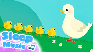 Five Little Ducks (Count To Sleep) | Lullabies & Nursery Rhymes for Kids | Sleep Baby Songs