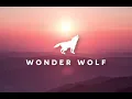 The Lighthouse and The Whaler -  We Are Infinite