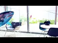 Dive in at Your Library