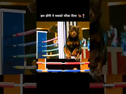 This dog surprised everyone