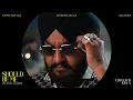 SHOULD BE ME (Visualizer) | Chani Nattan | Inderpal Moga | Roach Killa | Byg Byrd | Punjabi Song