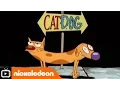 Download Lagu CatDog | Theme Tune with Lyrics | Nickelodeon UK