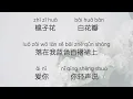 Rene Liu 刘若英【 Afterwards 后来 Hou Lai】
