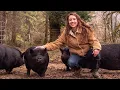 How We Raise A Year s Worth of Meat Never Buy Meat from the Grocery Store Again