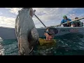 Jacpot kami Dito Bihira mahuli Ang Ganitong Isda Catch \u0026 Cook