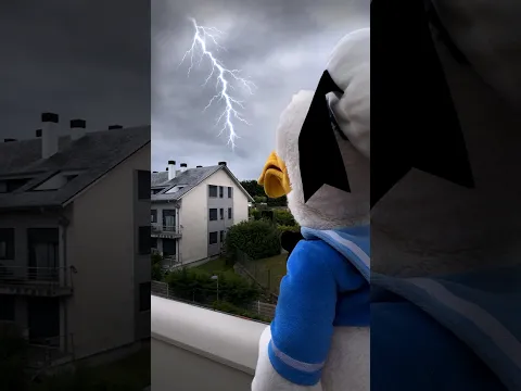 Siempre pasa lo mismo 😡⚡