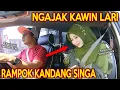 Download Lagu PRANK SHOLAWAT RAMPOK KANDANG SINGA !! BINI TETANGGA KAWIN LARI