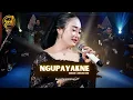 Lagu NGUPAYAKNE - New Normal Keroncong (Music Video Cover)