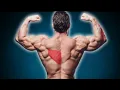 How To Train Lower Traps