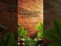 Hancock County Ohio Newspapers Ep 7