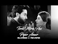 Download Lagu Tera Mera Hai Pyar Amar (Slowed And Reverb) Pakistani Ost Song