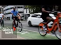 Absolutely crazy Ford government wins Toronto bike lane battle