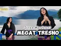 Lagu Megat Tresno - Intan Mandasari (COVER)