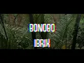 Bonobo Ibrik - Official Video