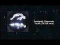 Santigold - Disparate Youth (TikTok version)
