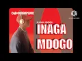 Lagu Jilunga jisenza_Inaga mdogo 