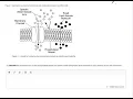Unit 2 Progress Check FRQ 2
