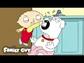 Stewie Wants His Money Brian Family Guy