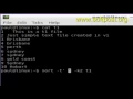How to sort file based on specific column in BASH shell terminal