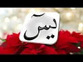 Surah Yasin, Surah Rahman, Surah Waqiah, Surah Mulk, Beautiful Recitation By Mishary Rashid Alafasy,