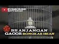 Branjangan gacor ( bongkar isian)