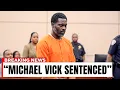 The Tragic Fate Of Michael Vick