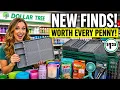 30 NEW Dollar Tree Finds You NEED to Grab NOW Insane New Arrivals Selling Out FAST August 2026