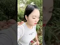 Download Lagu Mastran burung lucu viral kocak ngakak meme funny memes moments