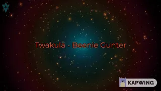 beenie gunter twakula official video new ugandan music