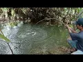 Download Lagu WOW GILA.!!! IKAN APA BUAYA.!!!JORAN PEMANCING INI SAMPAI MAU PATAH MANCING DI HUTAN LIAR