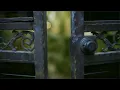 Download Lagu SECRET GARDEN - Official Video