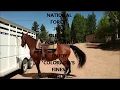 1060 Cantiberry Road Divide Co 80814