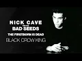 Download Lagu Nick Cave \u0026 The Bad Seeds - Black Crow King (Official Audio)
