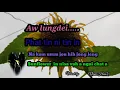 Download Lagu Sunflowers  in nisa a ngai chat bang in ka hinngai jing  voicel by Jangneo HauZ