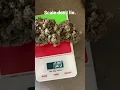 10g nug