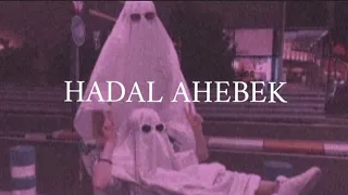                     حضل احبك بطيء دندنها