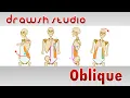 The Oblique Muscle