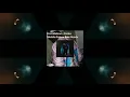 Post Malone - Circles Sikekele Remix FL Studio 20 FLP Presets Available