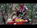 Lagu Chainsaw Party Mix 🎵 BALOK PAPAN SEMPURNA – TUKANG SENSO ANTHEM, VERSI 1