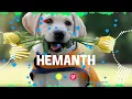 Download Lagu HEMANTH Name Ringtone || HEMANTH naam ki ringtone | HEMANTH name smart ringtone | iphone ringtone